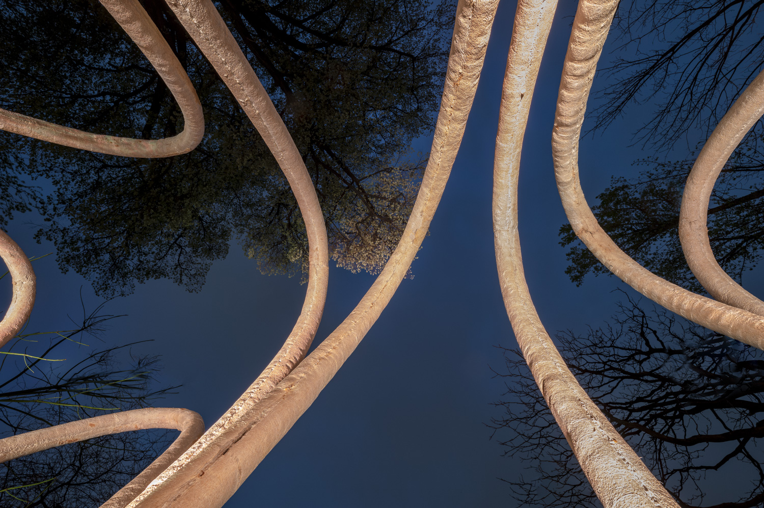 Material and construction detail.